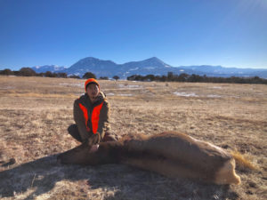 Elk Meat Hunt in Colorado