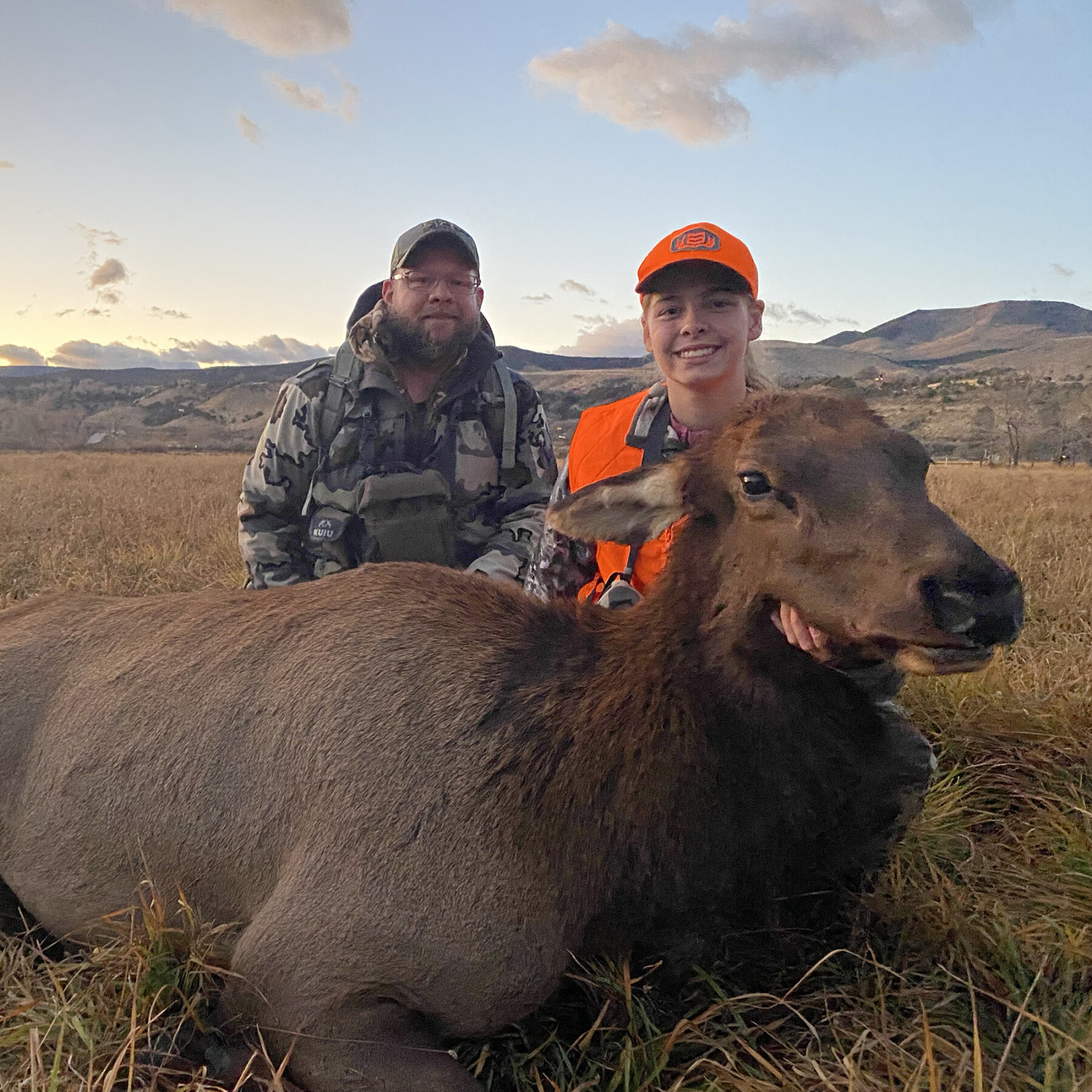 Guided cow elk hunt in Colorado with Timber to Table Guide Service.