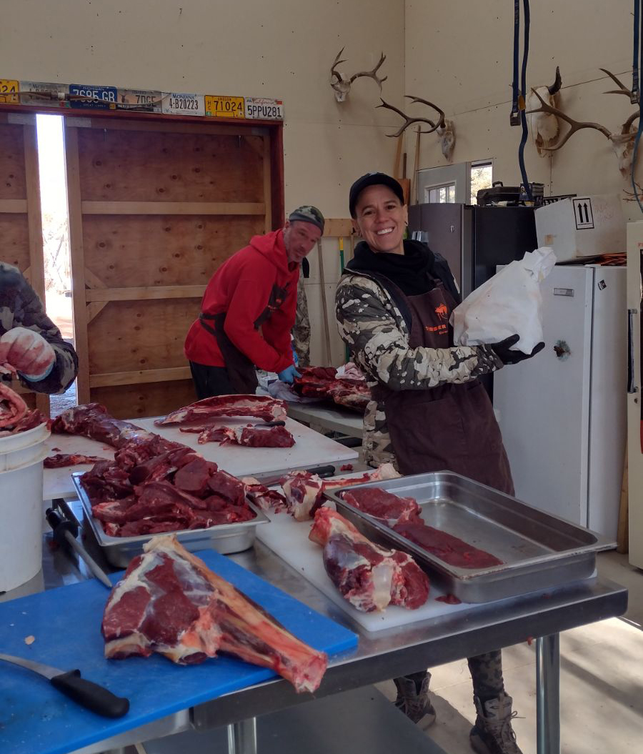 Colorado Cow Elk Hunt